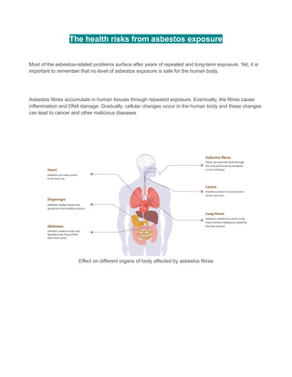 Asbestos Awareness - Things You Should Know to Stay Safe | PDF