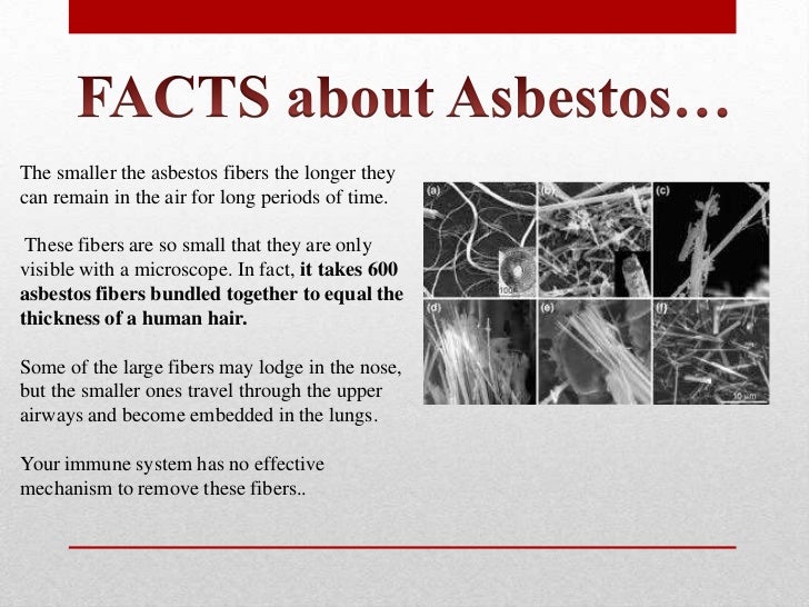 asbestos awareness presentation contractors introduction asbestos fact sheet