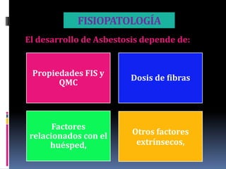 FISIOPATOLOGÍA
El desarrollo de Asbestosis depende de:


 Propiedades FIS y
                         Dosis de fibras
       QMC




       Factores
 relacionados con el     Otros factores
      huésped,            extrínsecos,
 