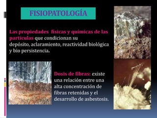 FISIOPATOLOGÍA

Las propiedades físicas y químicas de las
partículas que condicionan su
depósito, aclaramiento, reactividad biológica
y bio persistencia.



                    Dosis de fibras: existe
                    una relación entre una
                    alta concentración de
                    fibras retenidas y el
                    desarrollo de asbestosis.
 