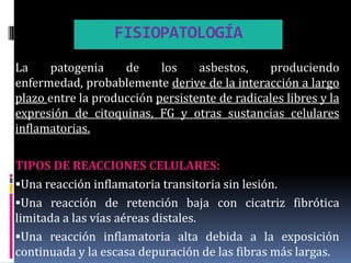 FISIOPATOLOGÍA
La    patogenia     de     los    asbestos,    produciendo
enfermedad, probablemente derive de la interacción a largo
plazo entre la producción persistente de radicales libres y la
expresión de citoquinas, FG y otras sustancias celulares
inflamatorias.

TIPOS DE REACCIONES CELULARES:
Una reacción inflamatoria transitoria sin lesión.
Una reacción de retención baja con cicatriz fibrótica
limitada a las vías aéreas distales.
Una reacción inflamatoria alta debida a la exposición
continuada y la escasa depuración de las fibras más largas.
 
