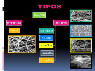 AMIANTO

Serpentinas                     Anfíboles

  Crisotilo       Crocidolita

                   Amosita

                  Antofilita

                  Tremolita

                  Actinolita
 