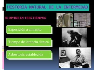 HISTORIA NATURAL DE LA ENFERMEDAD

SE DIVIDE EN TRES TIEMPOS.


  Exposición a amianto


  Tiempo de latencia clínica


  Asbestosis establecida
 