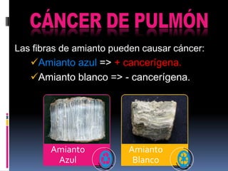 Las fibras de amianto pueden causar cáncer:
   Amianto azul => + cancerígena.
   Amianto blanco => - cancerígena.




        Amianto          Amianto
         Azul             Blanco
 