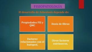 FISIOPATOLOGÍA
El desarrollo de Asbestosis depende de:
Propiedades FIS y
QMC
Dosis de fibras
Factores
relacionados con el
huésped,
Otros factores
extrínsecos,
 
