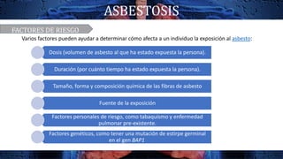 ASBESTOSIS
Varios factores pueden ayudar a determinar cómo afecta a un individuo la exposición al asbesto:
Dosis (volumen de asbesto al que ha estado expuesta la persona).
Duración (por cuánto tiempo ha estado expuesta la persona).
Tamaño, forma y composición química de las fibras de asbesto
Fuente de la exposición
Factores personales de riesgo, como tabaquismo y enfermedad
pulmonar pre-existente.
Factores genéticos, como tener una mutación de estirpe germinal
en el gen BAP1
FACTORES DE RIESGO
 