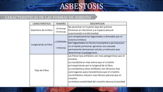 ASBESTOSIS
CARACTERISTICAS DE LAS FORMAS DE ASBESTO
CARACTERISTICA TAMAÑO DESCRIPCION
Diametro de la fibra
>3 micras
<3 micras
No penetran en la parte baja del pulmon
Penetran al intersticio y al espacio pleural
ocasionando la enfermedad
Longitud de la Fibra
< 3 micras
.
> 5micras
son completamente fagocitados o drenados por el
sistema linfatico
Son fagocitados en forma incompleta y permanecen
en el tejido pulmonar, generan una cascada
permanente dereaccion celular y molecular que
determinan la patogenesis
Tipo de Fibra
Las fibras tipo anfiboles son mas patogenitcas que el
crisotilo
La crocidolita es mas toxica que el crisotilo
principalmente por la longitud de la fibra
La crocidolita y otros anfiboles son 10 veces mas
carcinogenos para mesotelioma que el crisotilo
Los Anfiboles inducen mas fibrosis pleural que el
crisotilo
La relativa solubilidad del crisotilo atenua la toicidad
 