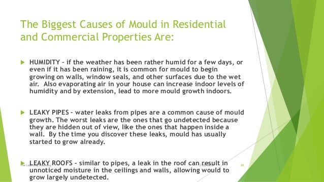 Health Effects Of Lead Paint On Walls Health Effects Of Lead Paint On Walls