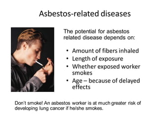 Comprehensive Asbestos Safety Training: Properties, Hazards, and ...