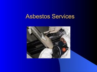 Asbestos Services 