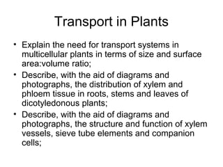 Transport in Plants
• Explain the need for transport systems in
multicellular plants in terms of size and surface
area:volume ratio;
• Describe, with the aid of diagrams and
photographs, the distribution of xylem and
phloem tissue in roots, stems and leaves of
dicotyledonous plants;
• Describe, with the aid of diagrams and
photographs, the structure and function of xylem
vessels, sieve tube elements and companion
cells;
 
