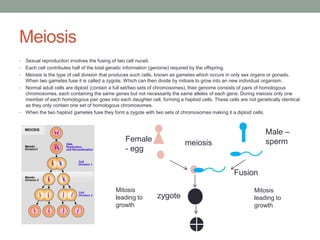 Meiosis
•
•
•
•

•

Sexual reproduction involves the fusing of two cell nuceli.
Each cell contributes half of the total genetic information (genome) required by the offspring.
Meiosis is the type of cell division that produces such cells, known as gametes which occurs in only sex organs or gonads.
When two gametes fuse it is called a zygote. Which can then divide by mitosis to grow into an new individual organism.
Normal adult cells are diploid (contain a full set/two sets of chromosomes), their genome consists of pairs of homologous
chromosomes, each containing the same genes but not necessarily the same alleles of each gene. During meiosis only one
member of each homologous pair goes into each daughter cell, forming a haploid cells. These cells are not genetically identical
as they only contain one set of homologous chromosomes.
When the two haploid gametes fuse they form a zygote with two sets of chromosomes making it a diploid cells.

Female
- egg

Male –
sperm

meiosis

Fusion
Mitosis
leading to
growth

zygote

Mitosis
leading to
growth

 