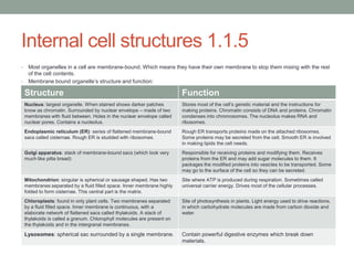 Internal cell structures 1.1.5
•
•

Most organelles in a cell are membrane-bound. Which means they have their own membrane to stop them mixing with the rest
of the cell contents.
Membrane bound organelle‟s structure and function:

Structure

Function

Nucleus: largest organelle. When stained shows darker patches
know as chromatin. Surrounded by nuclear envelope – made of two
membranes with fluid between. Holes in the nuclear envelope called
nuclear pores. Contains a nucleolus.

Stores most of the cell‟s genetic material and the instructions for
making proteins. Chromatin consists of DNA and proteins. Chromatin
condenses into chromosomes. The nucleolus makes RNA and
ribosomes.

Endoplasmic reticulum (ER): series of flattened membrane-bound
sacs called cisternae. Rough ER is studded with ribosomes.

Rough ER transports proteins made on the attached ribosomes.
Some proteins may be secreted from the cell. Smooth ER is involved
in making lipids the cell needs.

Golgi apparatus: stack of membrane-bound sacs (which look very
much like pitta bread)

Responsible for receiving proteins and modifying them. Receives
proteins from the ER and may add sugar molecules to them. It
packages the modified proteins into vesicles to be transported. Some
may go to the surface of the cell so they can be secreted.

Mitochondrion: singular is spherical or sausage shaped. Has two
membranes separated by a fluid filled space. Inner membrane highly
folded to form cisternae. This central part is the matrix.

Site where ATP is produced during respiration. Sometimes called
universal carrier energy. Drives most of the cellular processes.

Chloroplasts: found in only plant cells. Two membranes separated
by a fluid filled space. Inner membrane is continuous, with a
elaborate network of flattened sacs called thylakoids. A stack of
thylakoids is called a granum. Chlorophyll molecules are present on
the thylakoids and in the intergranal membranes.

Site of photosynthesis in plants. Light energy used to drive reactions,
in which carbohydrate molecules are made from carbon dioxide and
water.

Lysosomes: spherical sac surrounded by a single membrane.

Contain powerful digestive enzymes which break down
materials.

 