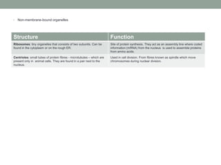 •

Non-membrane-bound organelles

Structure

Function

Ribosomes: tiny organelles that consists of two subunits. Can be
found in the cytoplasm or on the rough ER.

Site of protein synthesis. They act as an assembly line where coded
information (mRNA) from the nucleus is used to assemble proteins
from amino acids.

Centrioles: small tubes of protein fibres - microtubules – which are
present only in animal cells. They are found in a pair next to the
nucleus.

Used in cell division. From fibres known as spindle which move
chromosomes during nuclear division.

 