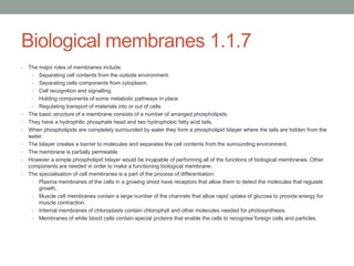 Biological membranes 1.1.7
•

•
•
•
•

•
•
•

The major roles of membranes include:
• Separating cell contents from the outside environment.
• Separating cells components from cytoplasm.
• Cell recognition and signalling.
• Holding components of some metabolic pathways in place
• Regulating transport of materials into or out of cells.
The basic structure of a membrane consists of a number of arranged phospholipids.
They have a hydrophilic phosphate head and two hydrophobic fatty acid tails.
When phospholipids are completely surrounded by water they form a phospholipid bilayer where the tails are hidden from the
water.
The bilayer creates a barrier to molecules and separates the cell contents from the surrounding environment.
The membrane is partially permeable.
However a simple phospholipid bilayer would be incapable of performing all of the functions of biological membranes. Other
components are needed in order to make a functioning biological membrane.
The specialisation of cell membranes is a part of the process of differentiation:
• Plasma membranes of the cells in a growing shoot have receptors that allow them to detect the molecules that regulate
growth.
• Muscle cell membranes contain a large number of the channels that allow rapid uptake of glucose to provide energy for
muscle contraction.
• Internal membranes of chloroplasts contain chlorophyll and other molecules needed for photosynthesis.
• Membranes of white blood cells contain special proteins that enable the cells to recognise foreign cells and particles.

 