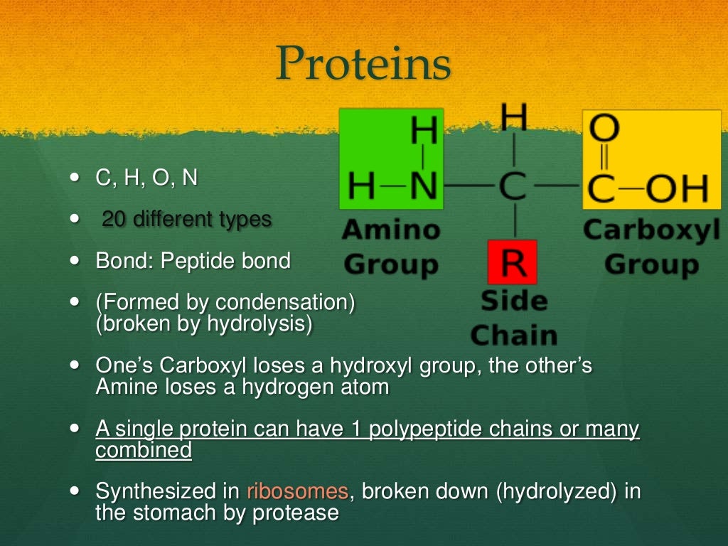 AS Level Biology 1) Biological Molecules