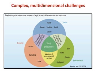 Alternatives to Slash and Burn Programme: what have we learned, where to next?