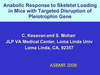 Anabolic Response to Skeletal Loading in Mice with Targeted Disruption of Pleiotrophin Gene C. Kesavan   and S. Mohan  JLP VA Medical Center, Loma Linda Univ Loma Linda, CA, 92357 ASBMR 2008 
