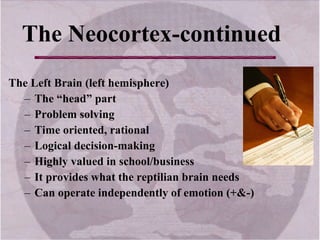 The Neocortex-continued
The Left Brain (left hemisphere)
– The “head” part
– Problem solving
– Time oriented, rational
– Logical decision-making
– Highly valued in school/business
– It provides what the reptilian brain needs
– Can operate independently of emotion (+&-)
 