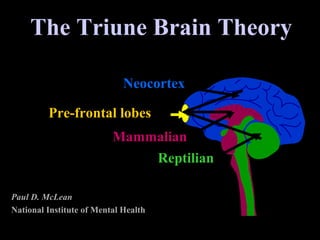 The Triune Brain Theory
Paul D. McLean
National Institute of Mental Health
NeocortexNeocortex
MammalianMammalian
ReptilianReptilian
Pre-frontal lobesPre-frontal lobes
 