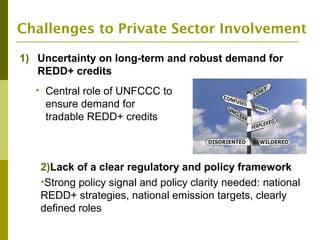 The Private Sector and REDD+ : Trends, Challenges and Opportunities