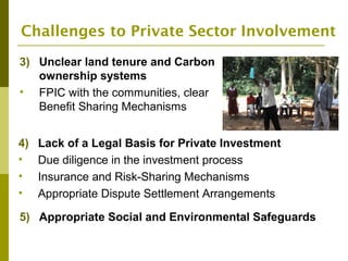 The Private Sector and REDD+ : Trends, Challenges and Opportunities