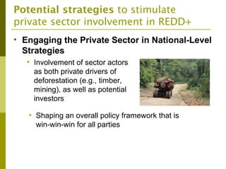 The Private Sector and REDD+ : Trends, Challenges and Opportunities