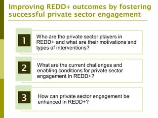 The Private Sector and REDD+ : Trends, Challenges and Opportunities
