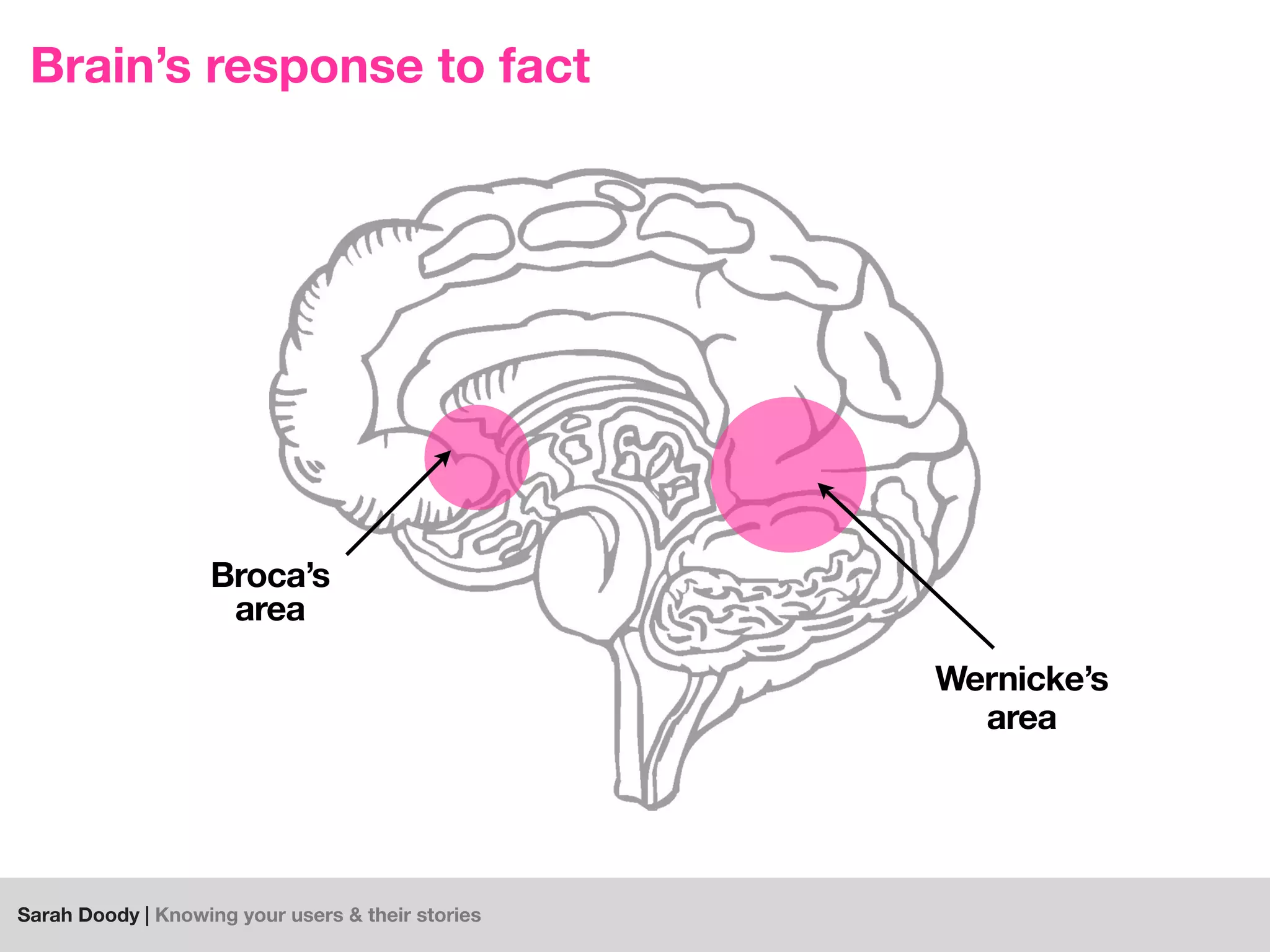 Sarah Doody | Knowing your users & their stories
Broca’s
area
Wernicke’s
area
Brain’s response to fact
 