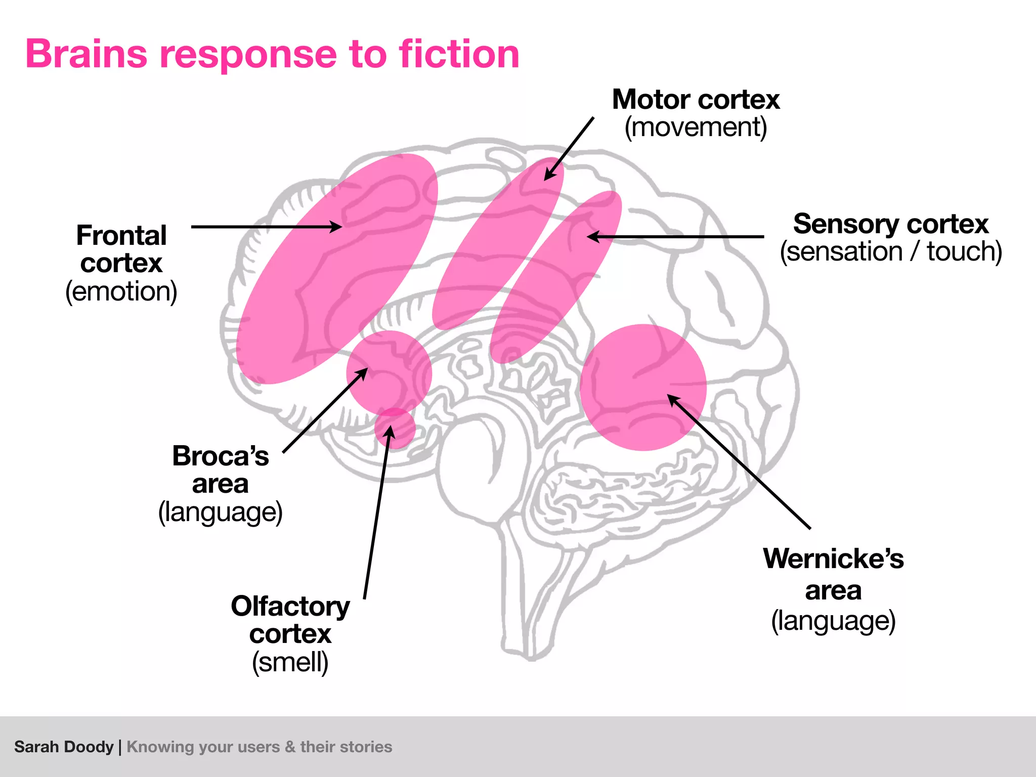 Sarah Doody | Knowing your users & their stories
Broca’s
area
(language)
Wernicke’s
area
(language)
Brains response to ﬁction
Frontal
cortex
(emotion)
Motor cortex
(movement)
Sensory cortex
(sensation / touch)
Olfactory
cortex
(smell)
 