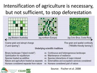 Climate Smart Agriculture -ASB World Bank Presentation