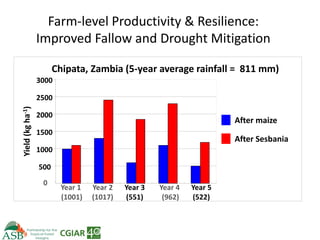 Climate Smart Agriculture -ASB World Bank Presentation