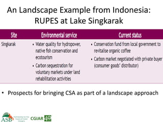 Climate Smart Agriculture -ASB World Bank Presentation