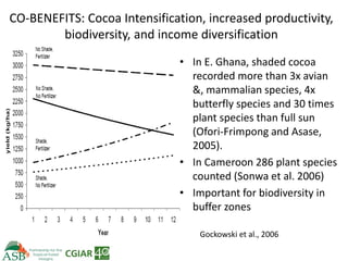 Climate Smart Agriculture -ASB World Bank Presentation
