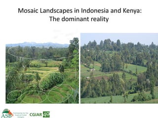 Climate Smart Agriculture -ASB World Bank Presentation