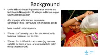 Testing a gender transformative approach combined with a fish harvesting technology for women