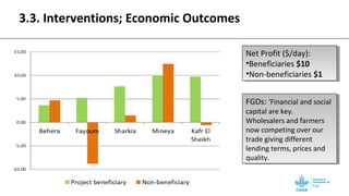 Gendered post-harvest losses among informal retailers in Egypt