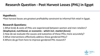 Gendered post-harvest losses among informal retailers in Egypt