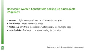 What happens after technology adoption? Gendered aspects of small-scale irrigation technologies in Ethiopia, Ghana, and Tanzania