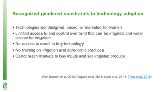 What happens after technology adoption? Gendered aspects of small-scale irrigation technologies in Ethiopia, Ghana, and Tanzania