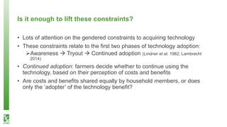 What happens after technology adoption? Gendered aspects of small-scale irrigation technologies in Ethiopia, Ghana, and Tanzania