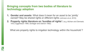 What happens after technology adoption? Gendered aspects of small-scale irrigation technologies in Ethiopia, Ghana, and Tanzania