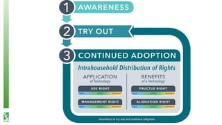 What happens after technology adoption? Gendered aspects of small-scale irrigation technologies in Ethiopia, Ghana, and Tanzania