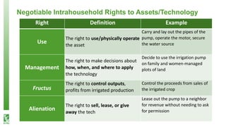 What happens after technology adoption? Gendered aspects of small-scale irrigation technologies in Ethiopia, Ghana, and Tanzania