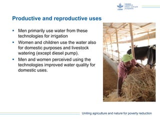 Gender and water lifting technologies: water lifting irrigation and multiple purposes