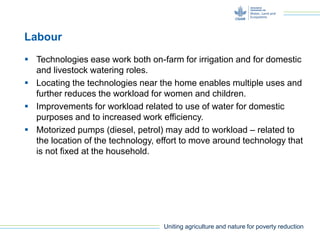Gender and water lifting technologies: water lifting irrigation and multiple purposes