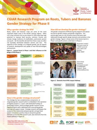 CGIAR Research Program on Roots, Tubers and Bananas
Gender Strategy for Phase II
Vivian Polar, RTB • Holly Holmes, RTB
Collaborative Platform on Gender Research Meeting,
Amsterdam, 4 December 2017
www.rtb.cgiar.org
Why a gender strategy for RTB?
Roots, tubers and bananas crops are some of the most
important staple crops in the worlds’ poorest regions. Often
rich in key nutrients such as pro-vitamin A, RTB crops have high
potential to improve food security, nutrition, income and
climate change resilience of smallholders, particularly women
and youth. Yet the benefits derived from these crops are often
not equitably distributed between women and men. The
objective of the strategy is to integrate gender into all aspects
of research, development and uptake of new RTB technologies
and practices.
How did we develop the gender strategy?
The gender component of RTB during the program’s first phase
focused on gender analysis and gender integration. This
process gave way to a set of lessons learnt that were later
addressed through specific design elements and activities in the
gender strategy. Figure 1 shows some of the lessons learnt in
Phase I and specific actions undertaken in Phase II.
Lessons Learnt from
RTB Phase I
Design elements for
RTB Phase II
Examples of
implementation
Need for more collaboration
and integration between social
and biophysical scientists
Other institutions outside the
CG have high specialization in
gender mainstreaming
Gender research and analysis
needs to be embeded in
technology design to enhance
benefits and uptake by women
Including gender elements in
existing research methods and
tools is more practical than
developing separate methods
Need to implement capacity
development on gender but
difficulties to implement
directly
Facilitate mechanism to promote
collaboration between different
types of scientists and promote
partnerships with experienced
gender institutions.
Promote capacity development
collaboration to draw knowledge
on gender research and strengthen
capacity development.
Develop gender responsive
operational frameworks, and
communication strategies to
promote technology uptake by
women and men.
Explore and analyze the difference
in women and men’s capacities to
Access adopt and Benefit from
innovations in agriculture
Develop partnerships with other
institutions and organizations with
expertise in gender
The Gender and Breeding
Innitiative promotes collaboration
and development of partnerships
Capacity building events with
GREAT draw on expertise
knowledge and promote
collaboration
Sweet potato seed systems in
Malawi, Bangladesh
Communication strategy on BBTD,
BXW
Strategic gender research through
GENNOVATE
Figure 1. Lessons learnt in Phase I and their influence on the
design of RTB Phase II
How is the gender strategy structured?
The strategy has two complementary components: a)
integrated gender research which is embedded in the operation
of flagship projects 1, 2 and 3, with dedicated funding on
technology clusters; and b) strategic gender research across
flagship projects with a dedicated and crosscutting gender
learning and support cluster. Strategic research will deepen the
analysis of the relationship between gender and agri-food
system innovations and thus help to streamline gender
elements across the RTB research cycle. (See elements from the
impact pathway in Figure 2)
GENDER PRODUCTS
in RTB FS Projects
IntegratedGenderResearchStrategicGenderResearch
Gender responsive
assessment of users needs
and trait preferences
Improoved RTB candidate
varieties with traits of
importance to men and
women
Approaches and tools to
designing gender responsive
ICM and IPDM
Guidelines for gender
responsive agricultural
innovation
Capacity development
strategies and materials
Gender responsive
information and
communication strategies
RESEARCH OUTCOMES
Varieties with traits of
importance to men and
women developed
Gender responsive ICM and
IPDM practices developed
and disseminated
Improved awareness, skills
and cpacity for gender
responsive agricultural
innovation
More innovative and
equitable knowledge on
inclusive agricultural
innovation
DEVELOPMENT
OUTCOMES
Women increase the
adoption of varieties with
their preferred traits
Increase areas under more
resilient and sustainable
RTB cropping systems
Impoved equity in the
distribution of benefits
from RTB crops
Methods and tools for
gender responsive value
chain development
Gender responsive tools and
methods for value chain
research developed
Women obtain more acces
to information, knowledge
and technologies
Women influrence
resource management and
decisión making processes
Sub - IDOs
Gender
equitable
control over
productive
resources
Improved
womens’
capacity to
participate in
decisión
making
Figure 2. Elements from RTB’s Impact Pathway
Researchers conduct
field work as part of
a GREAT course for
roots, tubers and
bananas.
Photo: GREAT
Focus Group
Discussion
participants as part
of GENNOVATE
research. Photo:
A.Rietveld/Bioversity
 