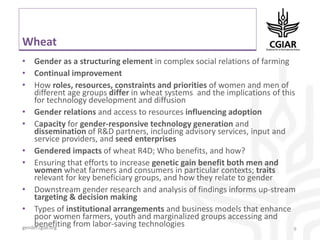 Pre-conference meeting. Gender Research Coordinators and Center Representatives