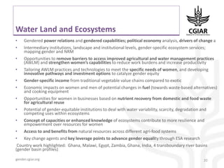 Pre-conference meeting. Gender Research Coordinators and Center Representatives