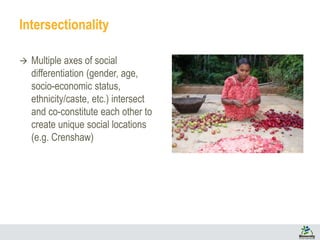 Unpacking ‘Gender’ in India’s Joint Forest Management Program: Lessons from two Indian states